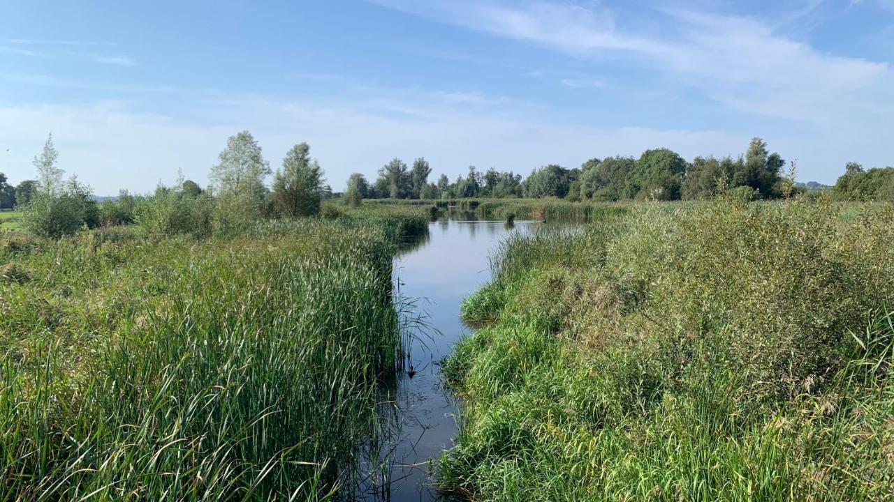 'T Paviljoenhus Bij Sneekermeer Offingawier Dış mekan fotoğraf